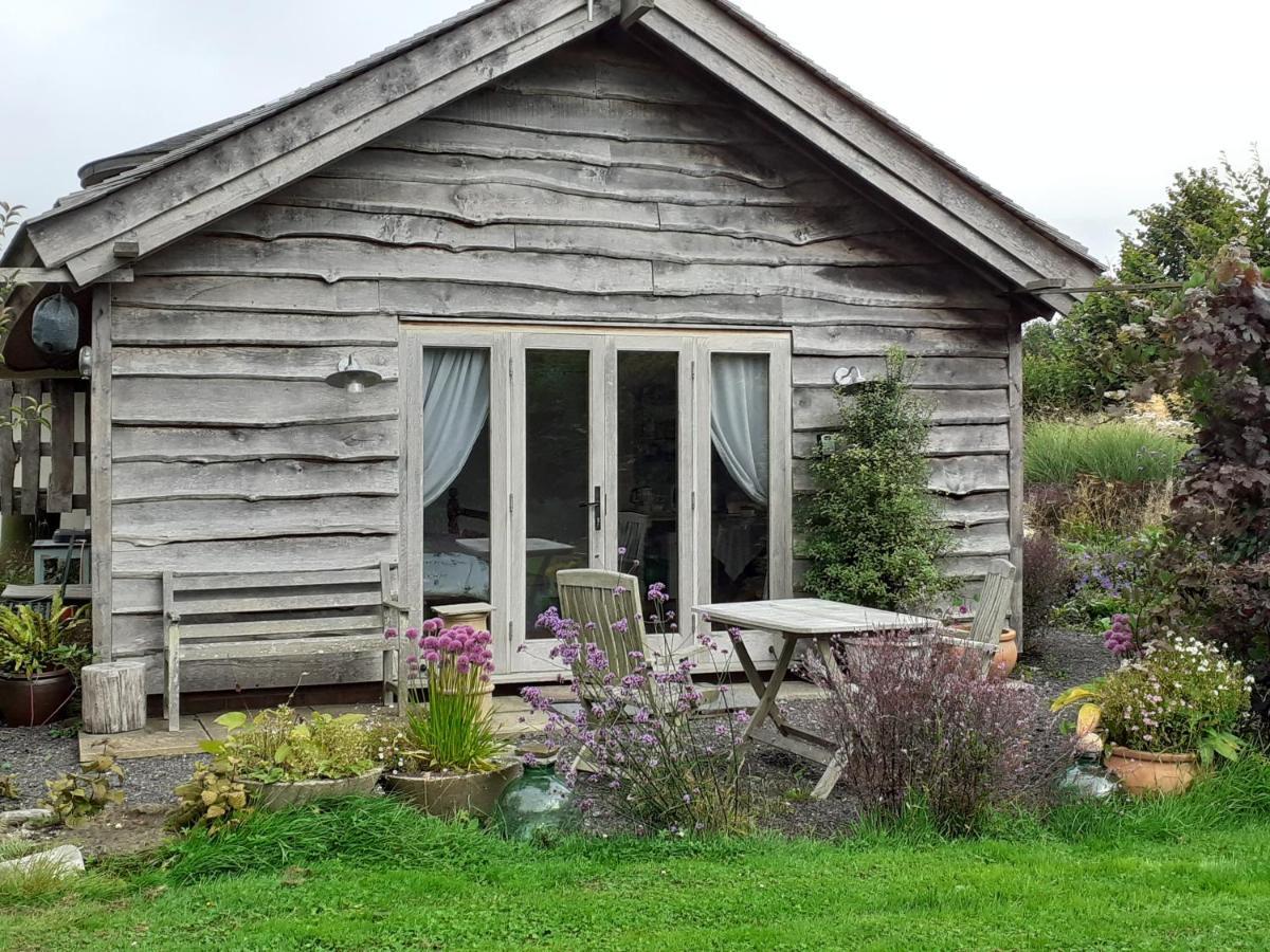 Three Oaks Nursery Chichester Eksteriør bilde