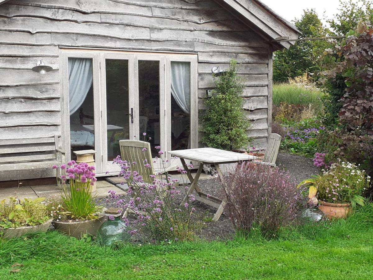 Three Oaks Nursery Chichester Eksteriør bilde